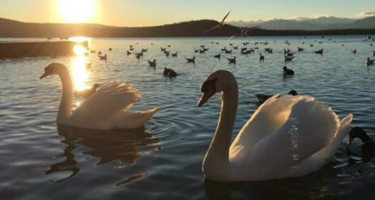 LAGO DI VIVERONE: LA TUA VACANZA VICINO A CASA